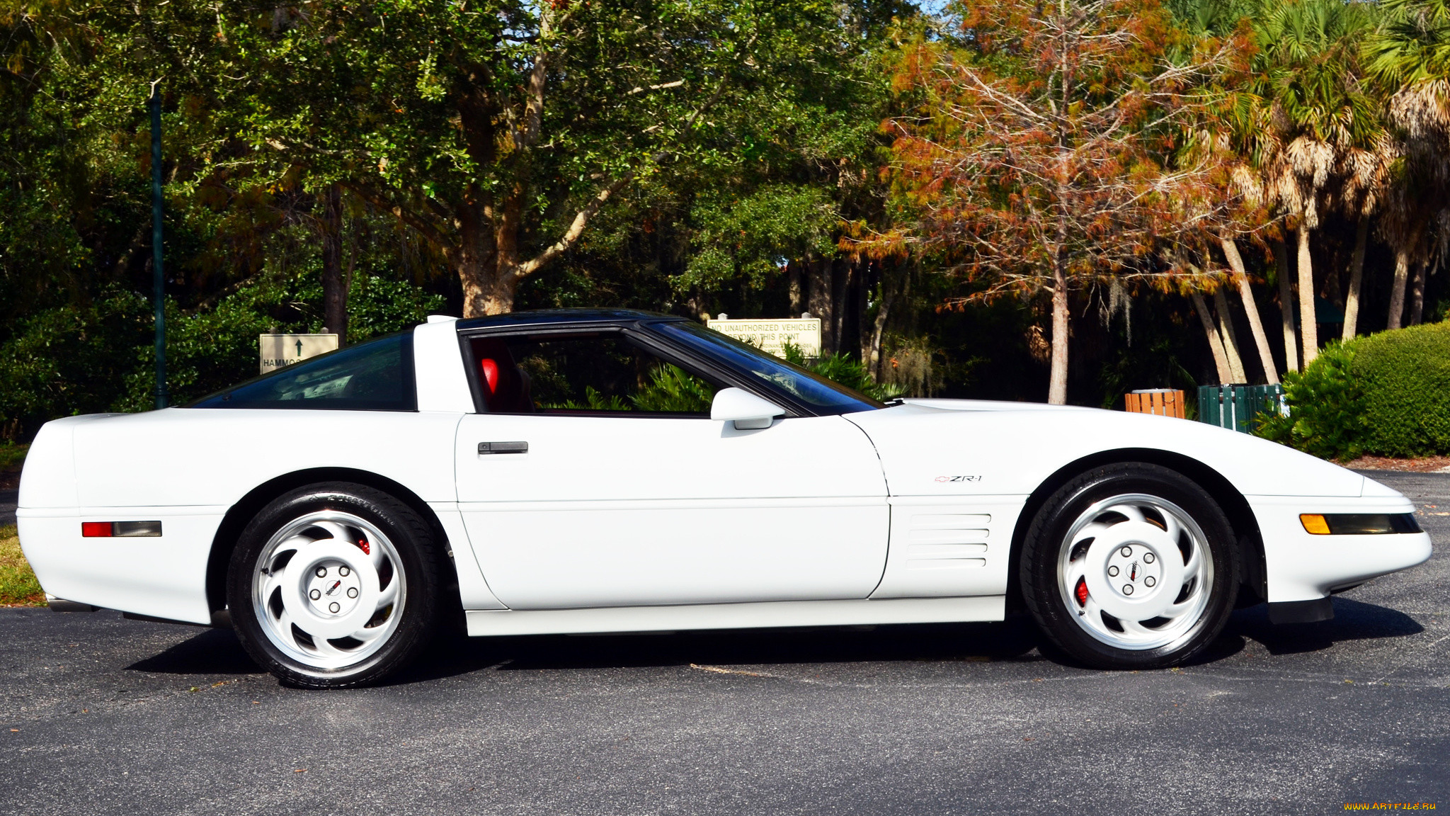 chevrolet corvette, , corvette, general, , chevrolet, , motors